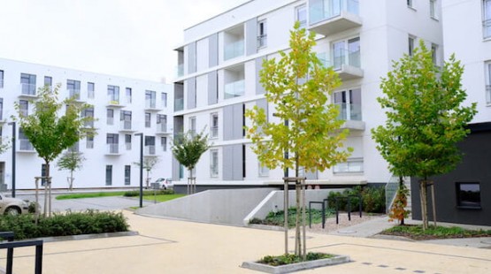 Area cortiliva condominiale sopra i garage: chi...