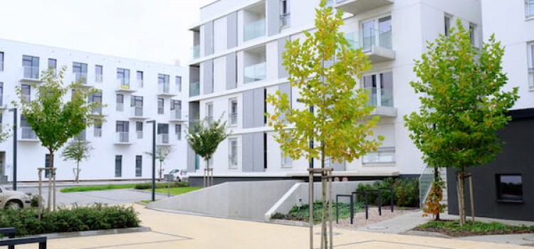 Area cortiliva condominiale sopra i garage: chi risponde in caso di infiltrazioni?