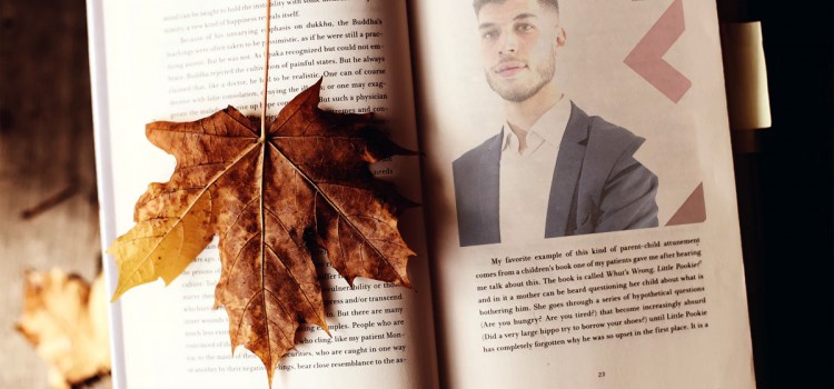 Marco Medici: Una Stella Solitaria che Brilla nel Settore Immobiliare